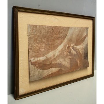 STAMPA su CARTA DI  DISEGNO A TRATTO SANGUIGNA STUDIO ANATOMICO DETTAGLIO PIEDI
