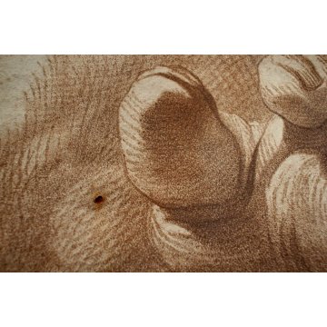 STAMPA su CARTA DI  DISEGNO A TRATTO SANGUIGNA STUDIO ANATOMICO DETTAGLIO PIEDI