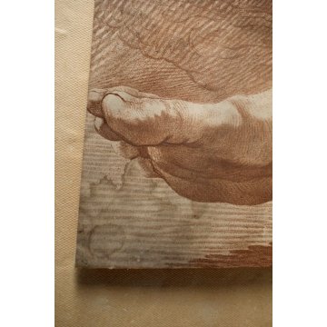 STAMPA su CARTA DI  DISEGNO A TRATTO SANGUIGNA STUDIO ANATOMICO DETTAGLIO PIEDI