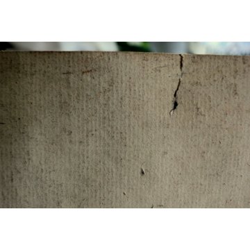 STAMPA su CARTA DI  DISEGNO A TRATTO SANGUIGNA STUDIO ANATOMICO DETTAGLIO PIEDI