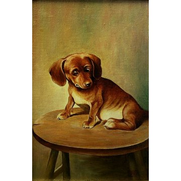 ANTICO QUADRO DIPINTO OLIO CARTONE Lino Bacci RITRATTO CAGNOLINO BASSOTTO '900