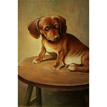 ANTICO QUADRO DIPINTO OLIO CARTONE Lino Bacci RITRATTO CAGNOLINO BASSOTTO '900