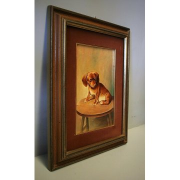 ANTICO QUADRO DIPINTO OLIO CARTONE Lino Bacci RITRATTO CAGNOLINO BASSOTTO '900